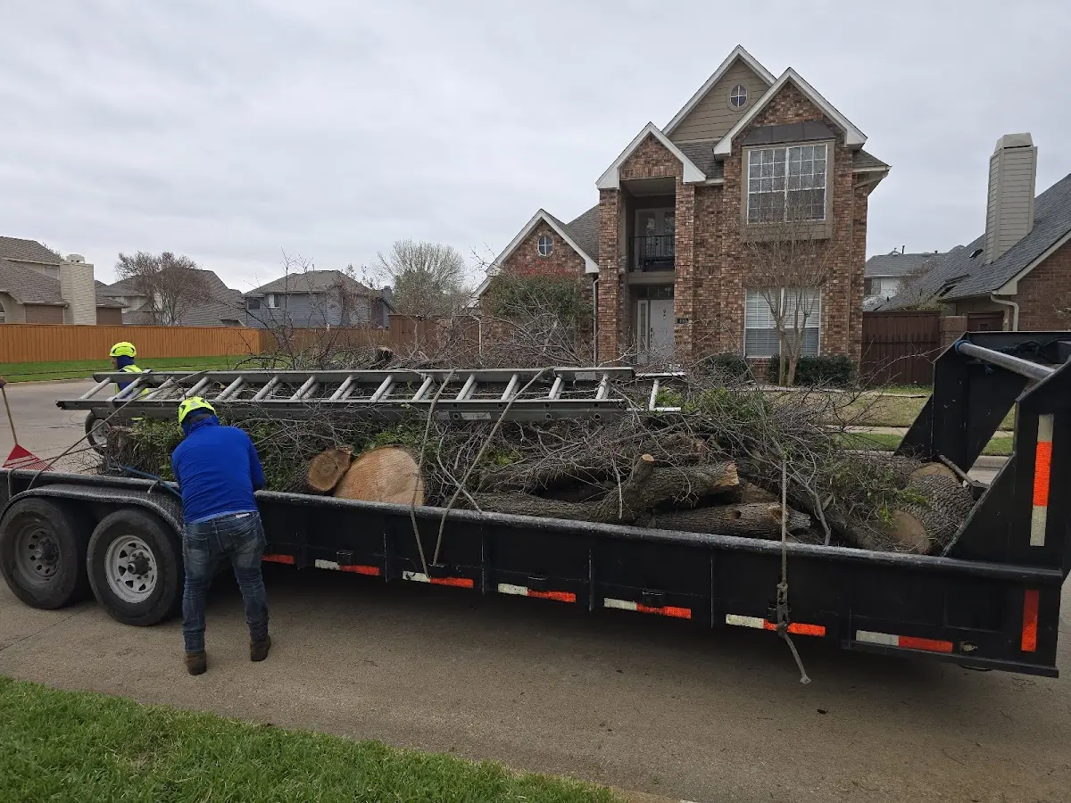 Expert Crown Reduction with proper safety equipment in Fort Atkinson